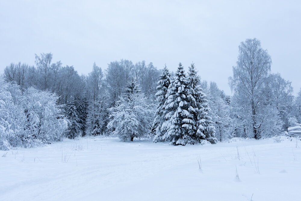Photograph by Ander Stak