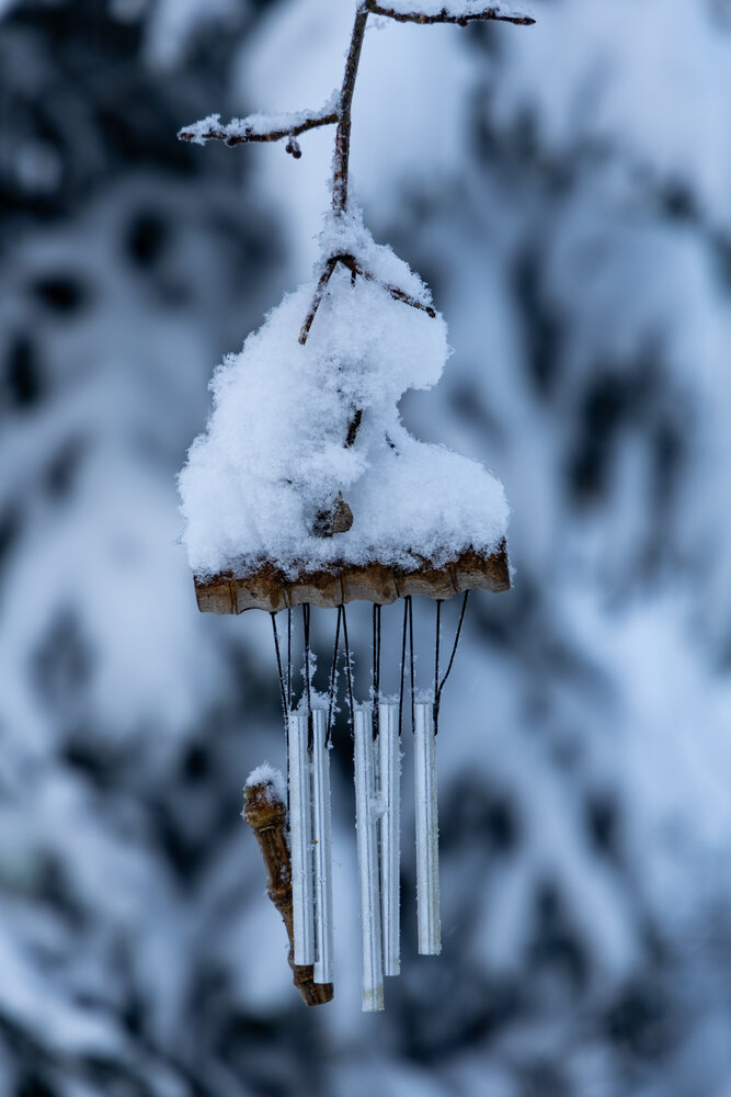 Photograph by Ander Stak