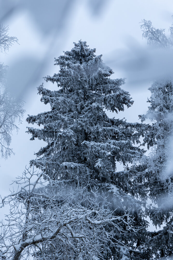 Photograph by Ander Stak
