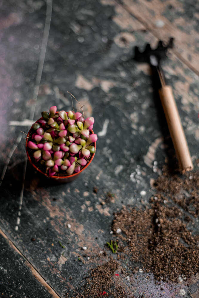 Photograph by Наталья Исаенко