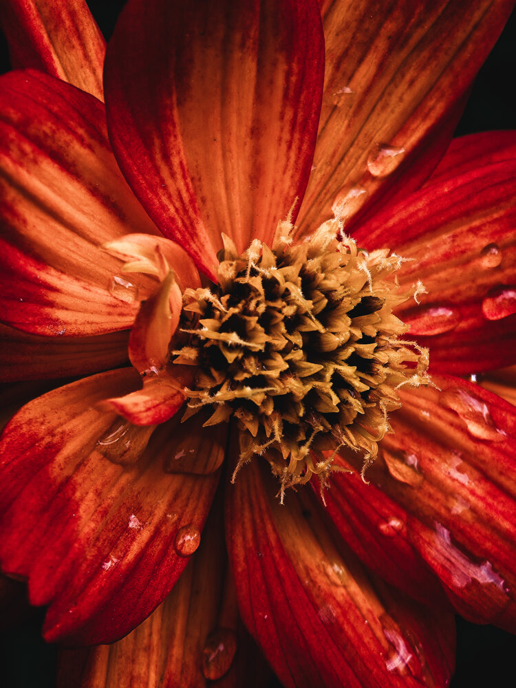 Фотография автора Hassam uddin