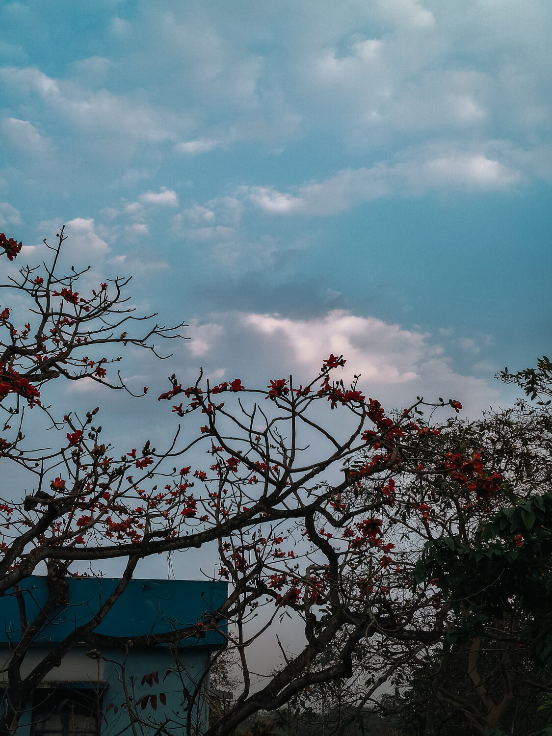 Photo #13899869