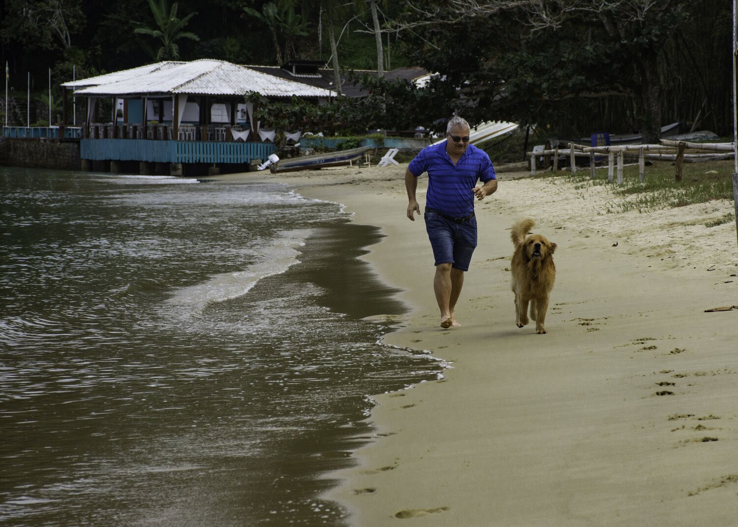 Running Along the Shore