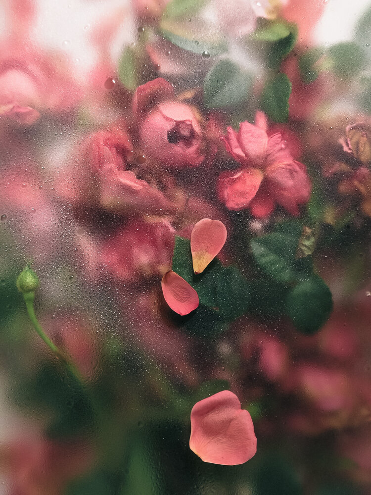 Photograph by Неро Миллена
