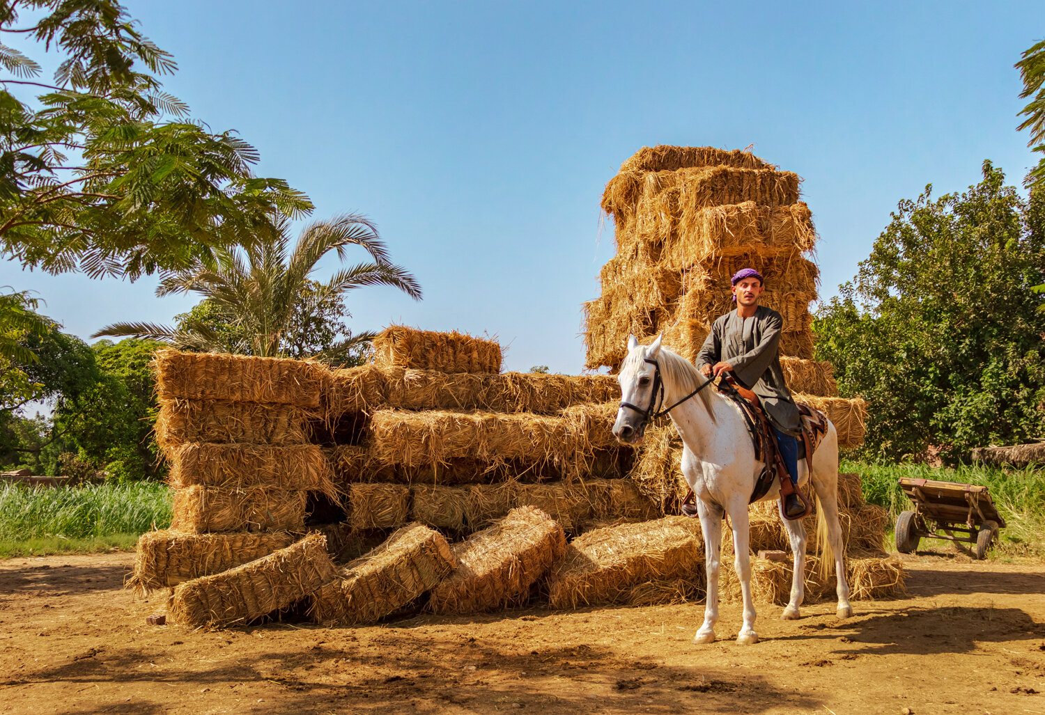 Photo #13899955