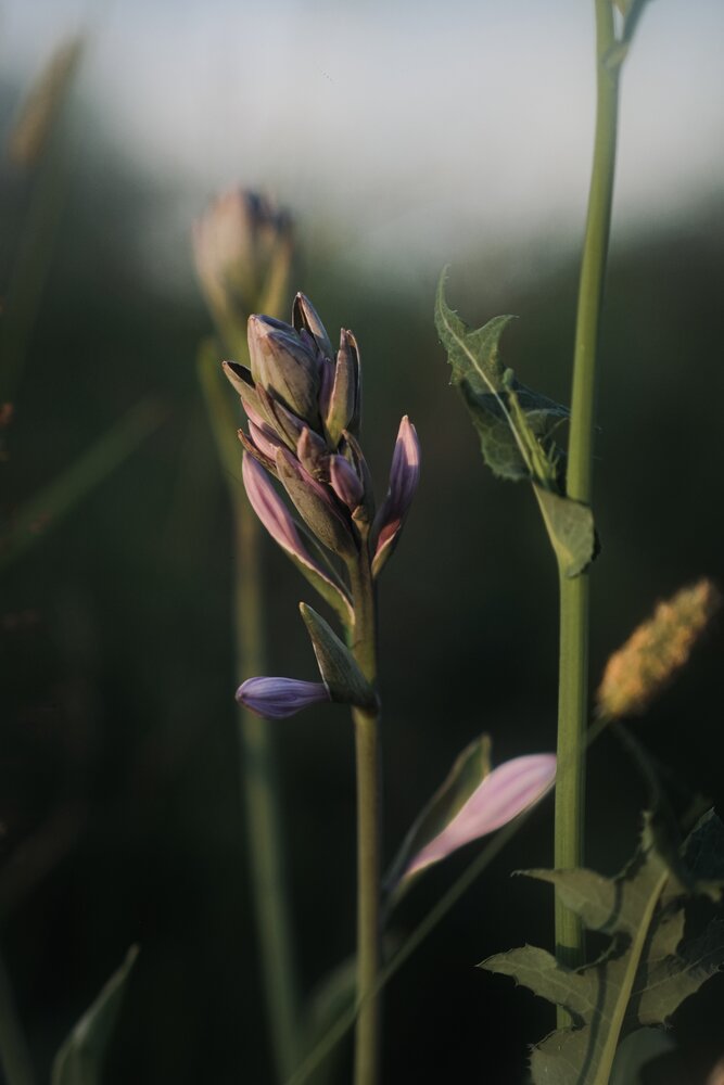 Photograph by Хамицкая Любовь