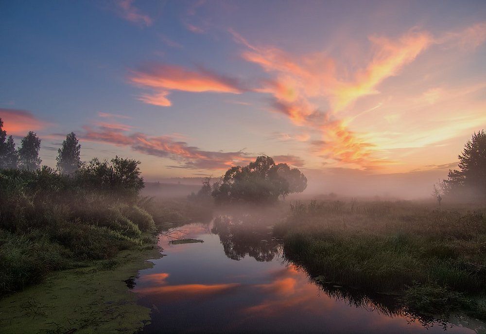 В ожидании солнца