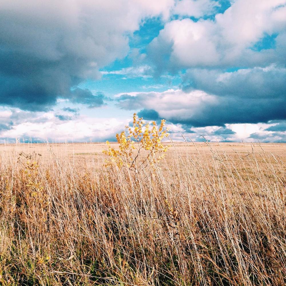 Photograph by Локтев Павел