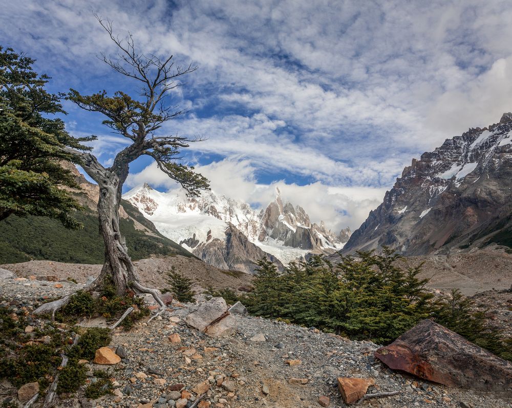 Здесь закончился лес.