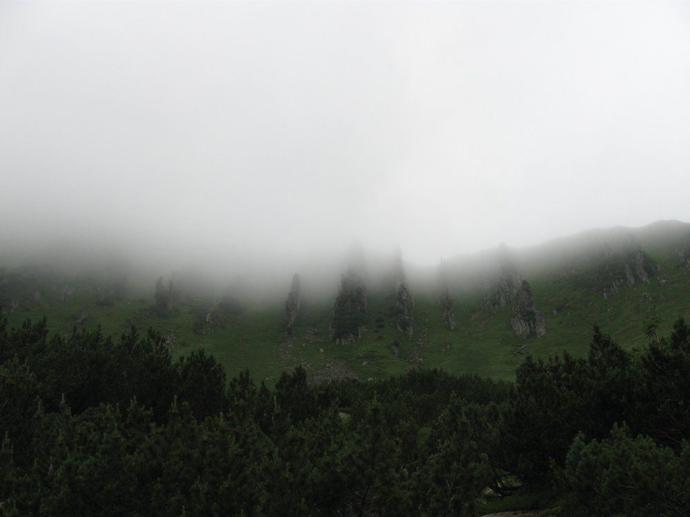 карпаты