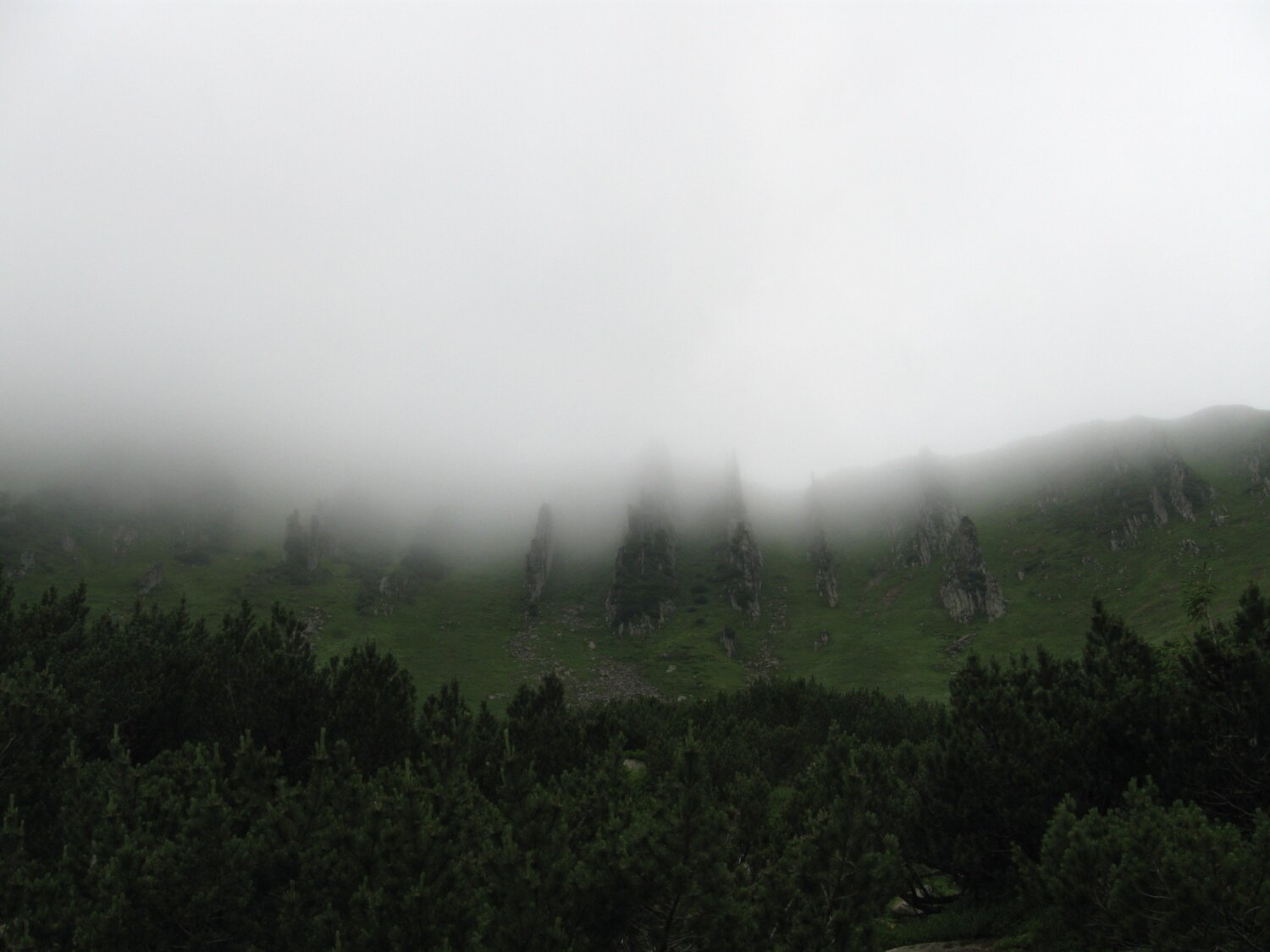 карпаты