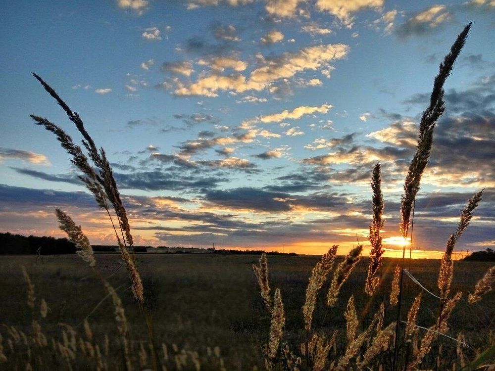 уходящее лето