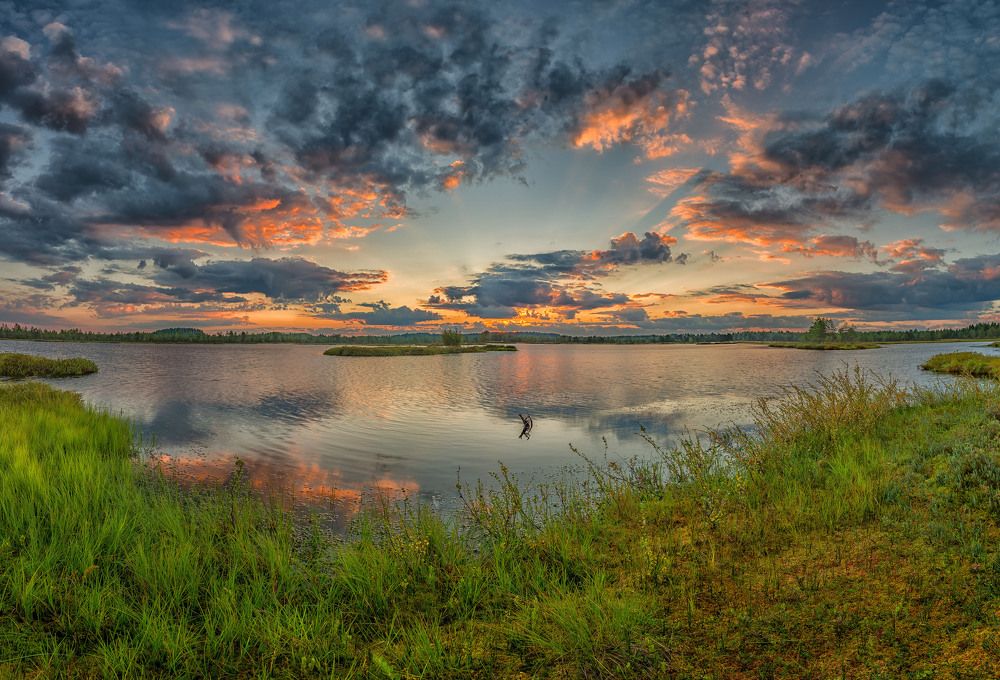 Первые лучи