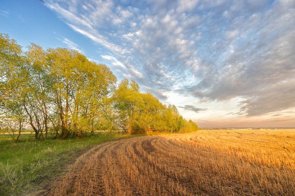 Photograph by Караваев Виктор