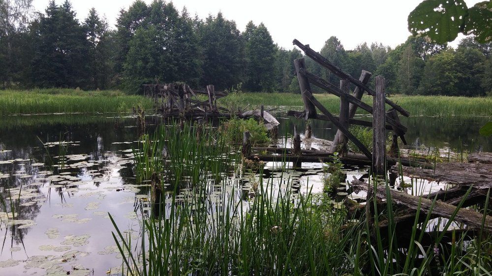 Photo #1392156