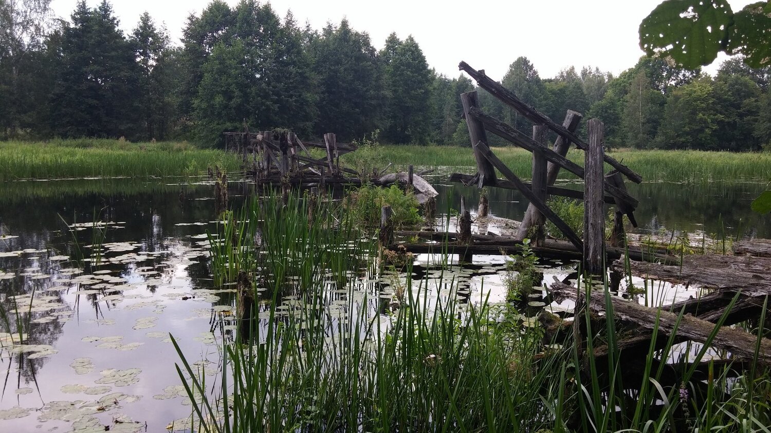 Photo #1392156