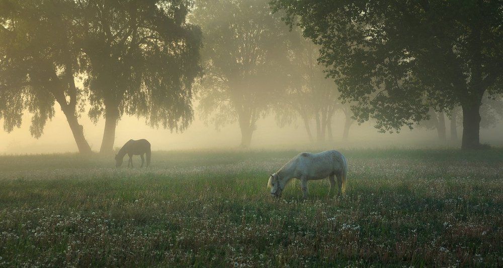 На рассвете