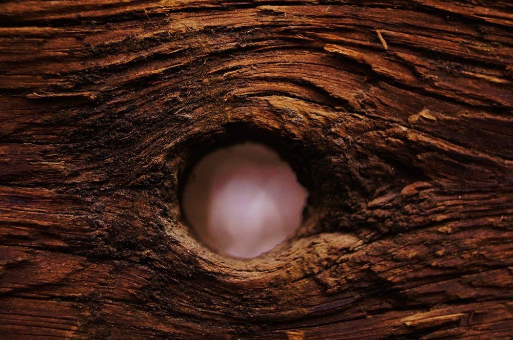 Photograph by Распутина Анастасия