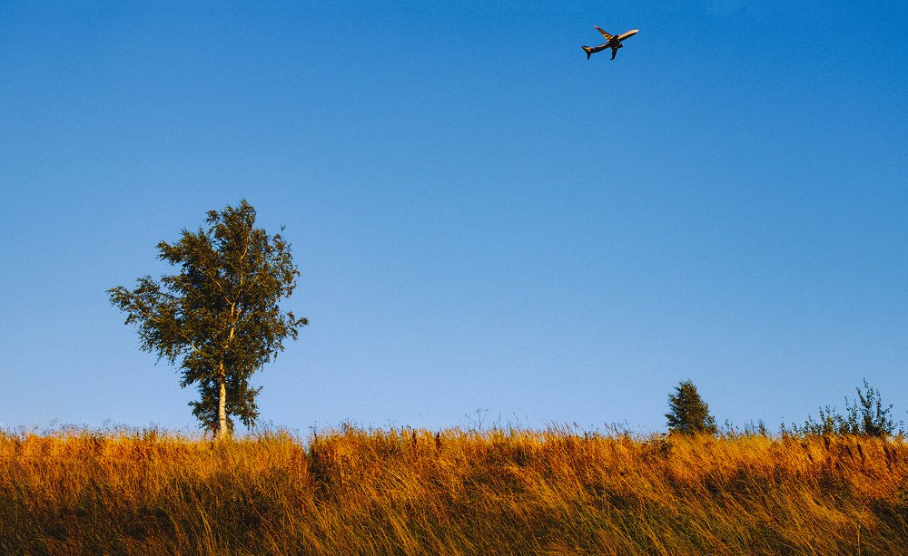 Около Шереметьево