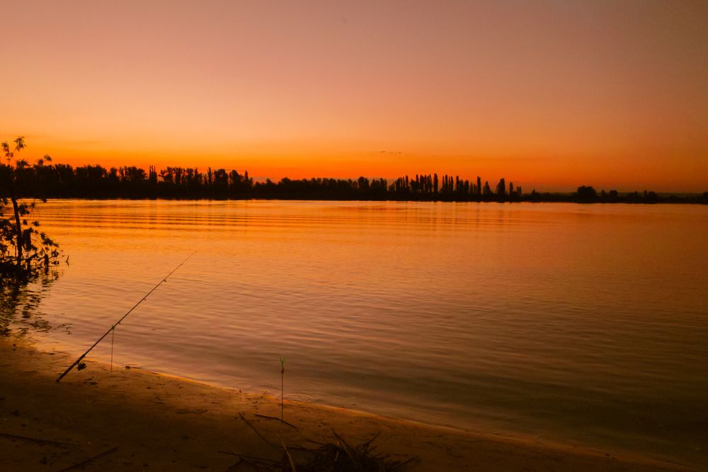 Дон батюшка