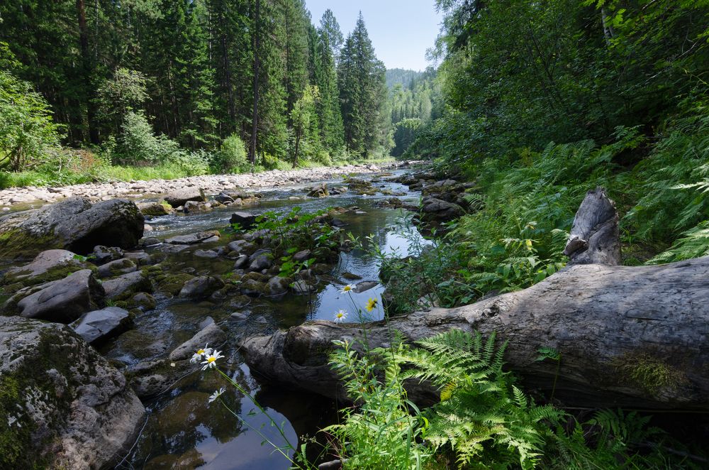 Река Богунай