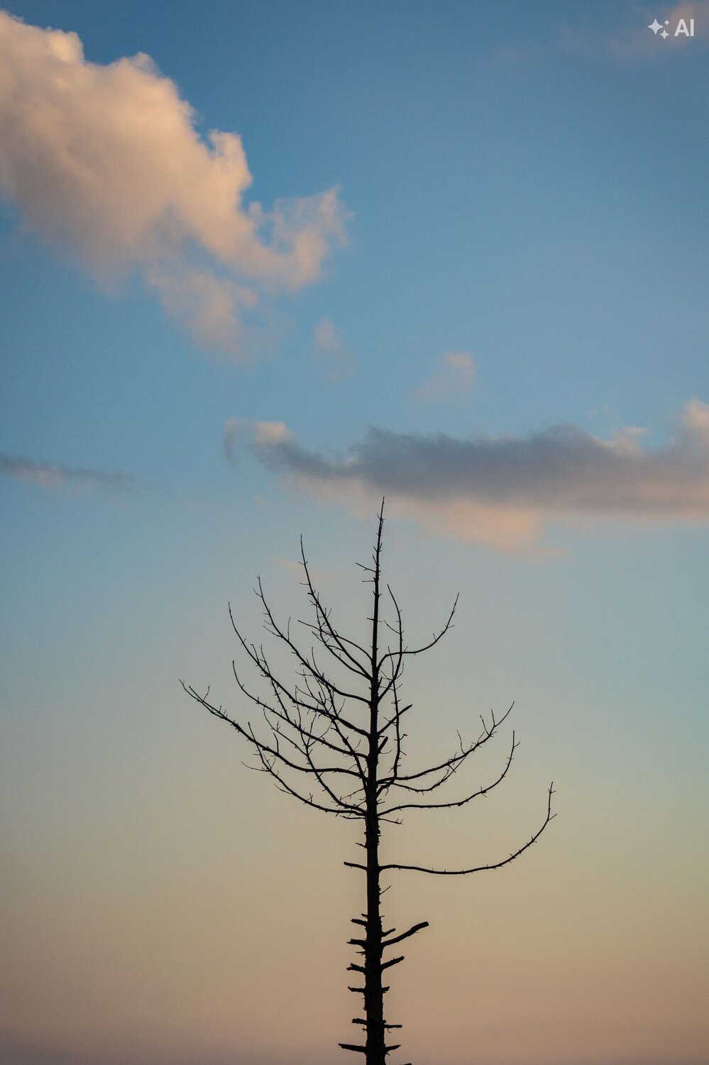 Photo #13900000