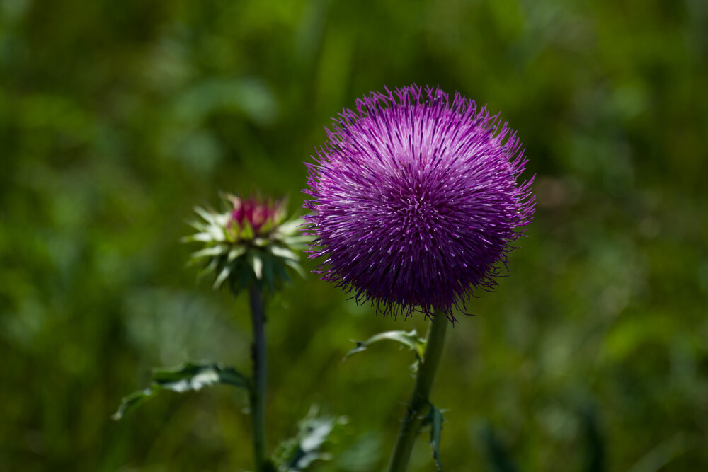 Photograph by Вера Волкова
