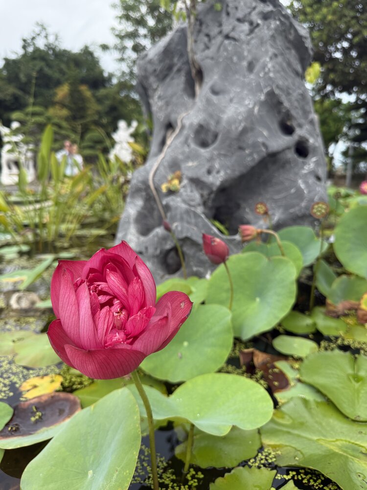 Photograph by Оксана Дунаевская