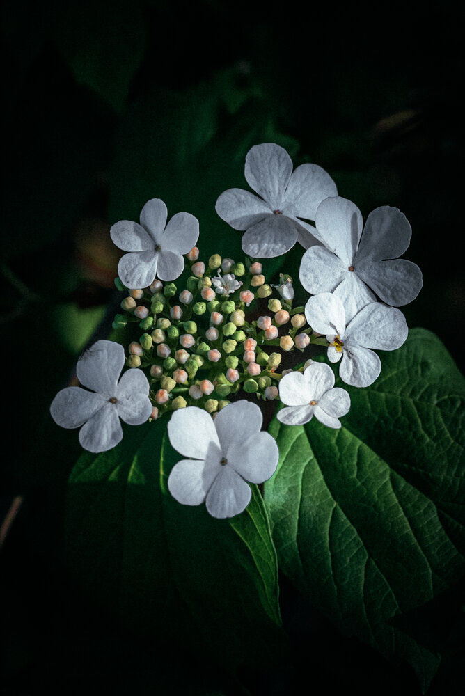 Photograph by Игорь Лузин