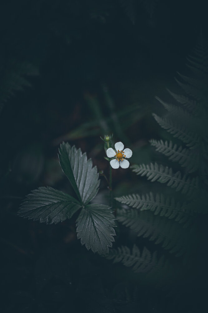 Photograph by Игорь Лузин