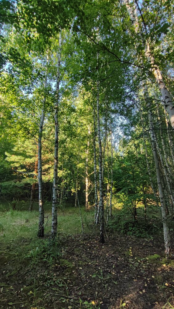 Photograph by Екатерина Александровна