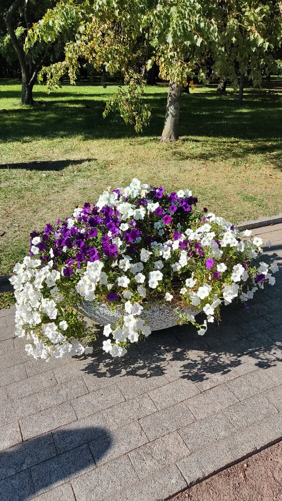 Фотография автора Алексей Дерендяев