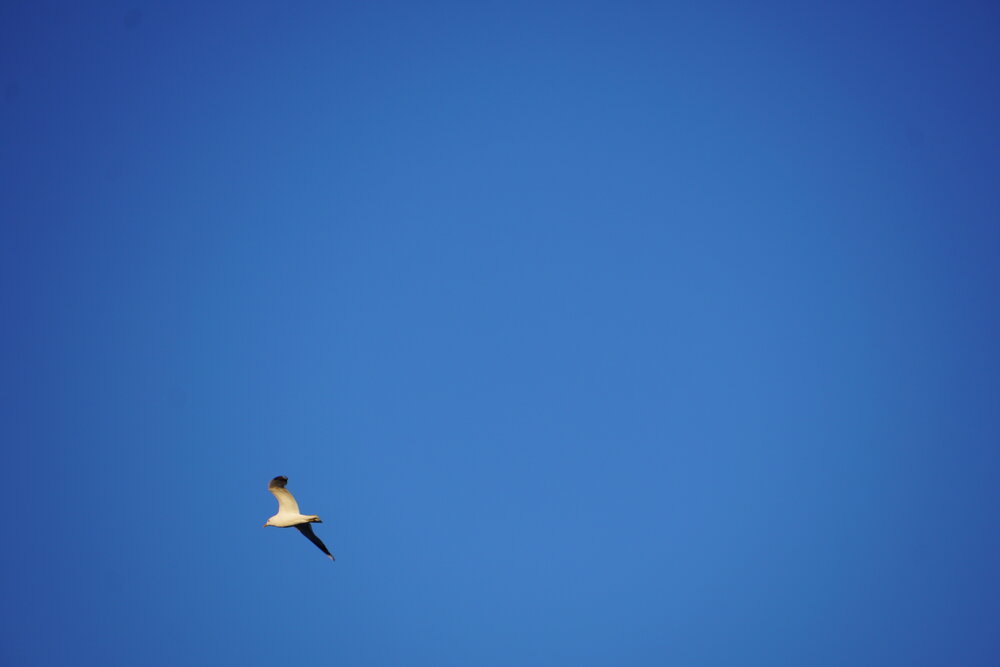 Photograph by Наталья Колбина