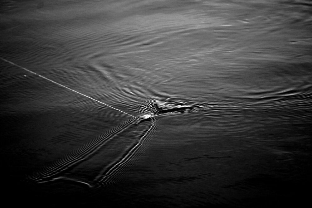 Photograph by Наталья Колбина