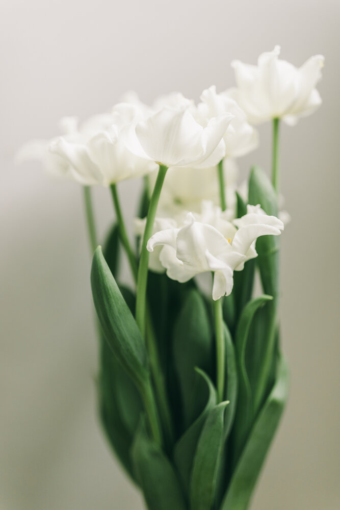 Photograph by Алена Янович