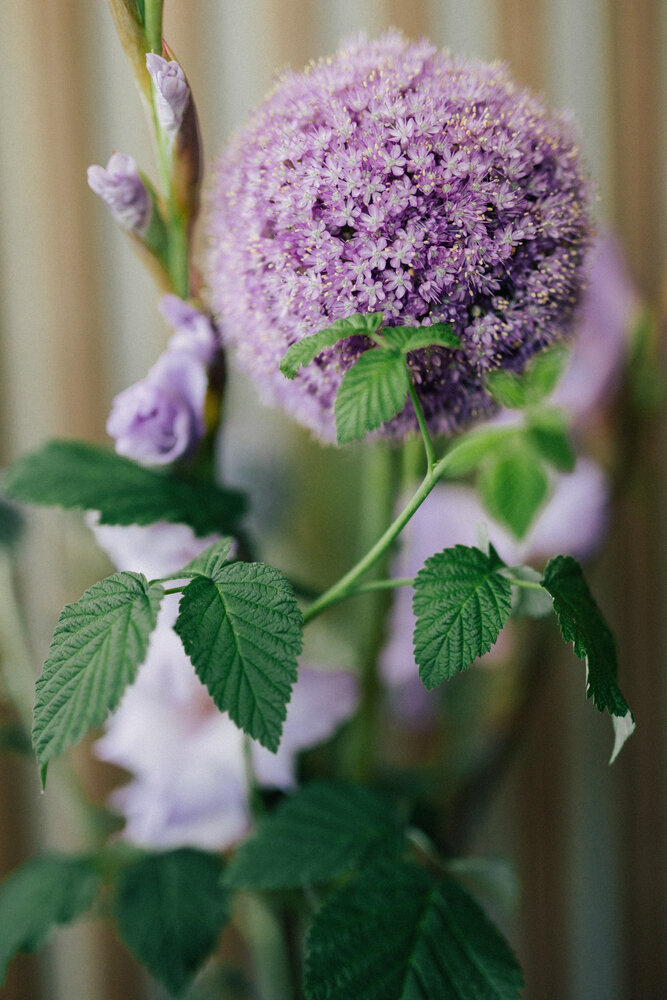 Photograph by Алена Янович