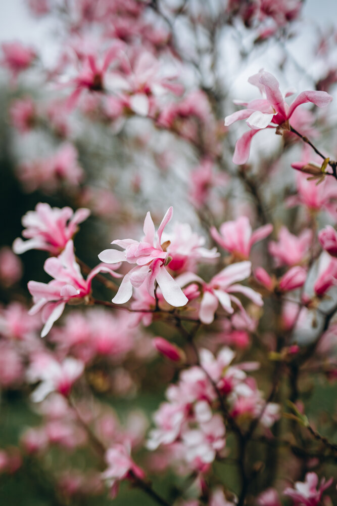 Photograph by Алена Янович