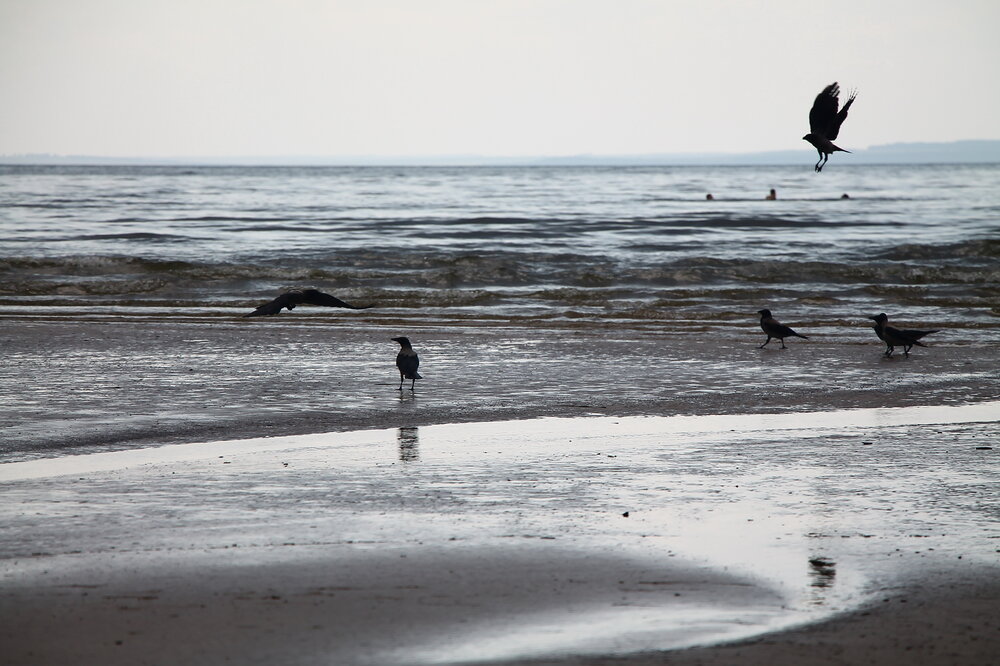 Photograph by Юрий Звонарев