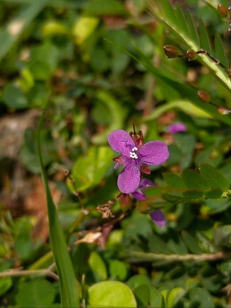 Hidden Beauty in Nature