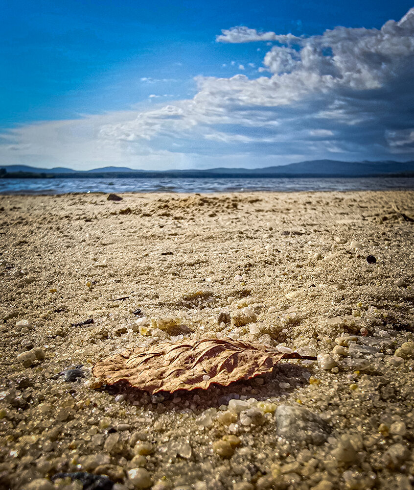 Photograph by Елена Ромашкина
