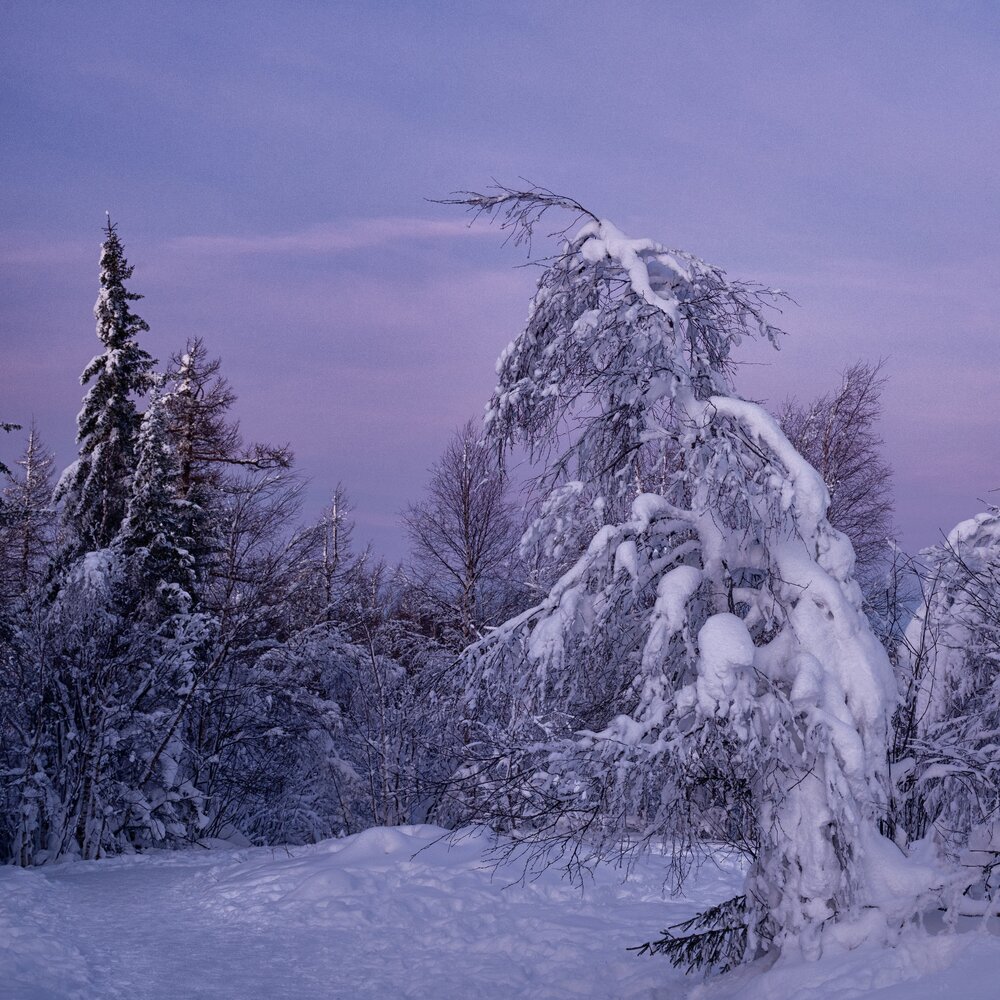 Photograph by Екатерина Рябкова