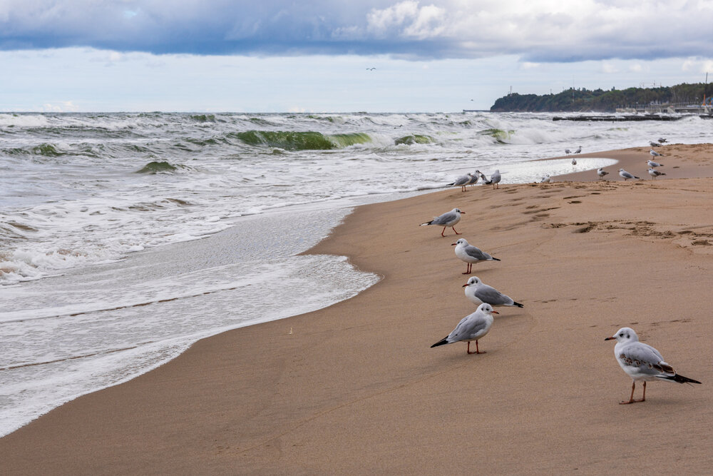Photograph by Алексей Кузьмин