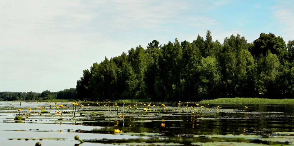 Photograph by Марина Горбулина