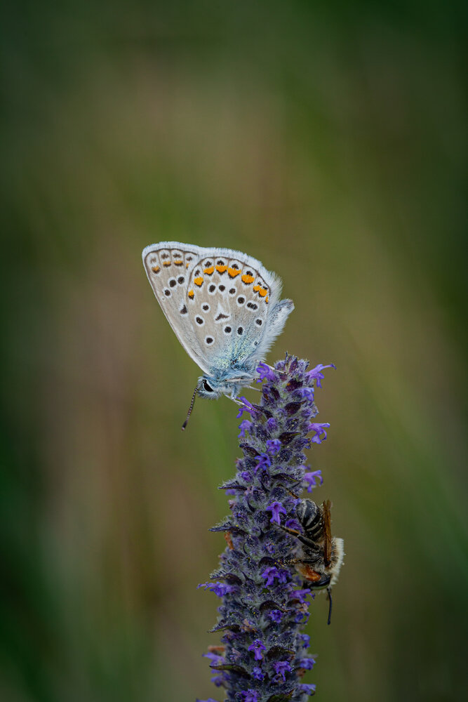 Photograph by Денис Дорошенко