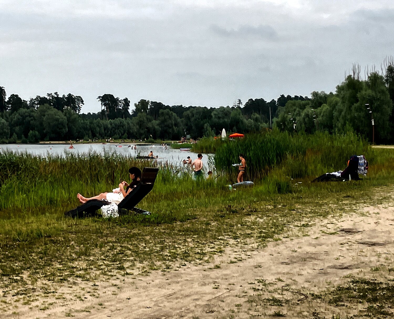 Photo #13900481