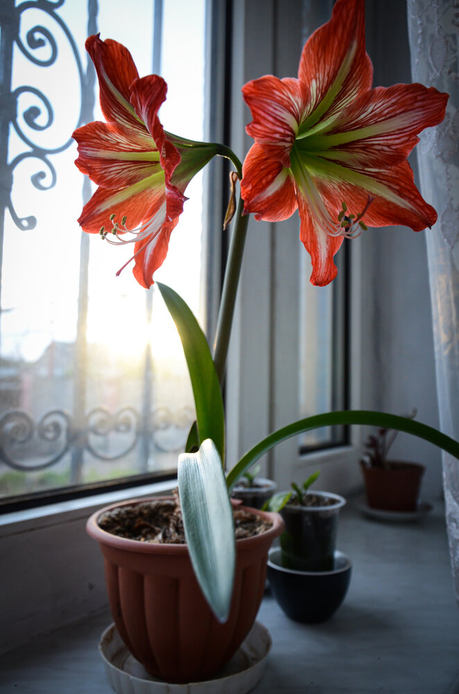 Photograph by Дмитрий Тютюнник
