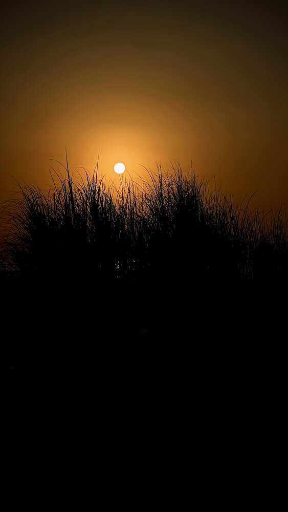 Photograph by mona gh