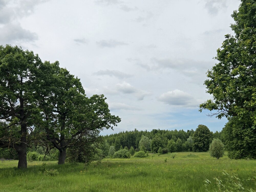 Photograph by Регина Нугманова