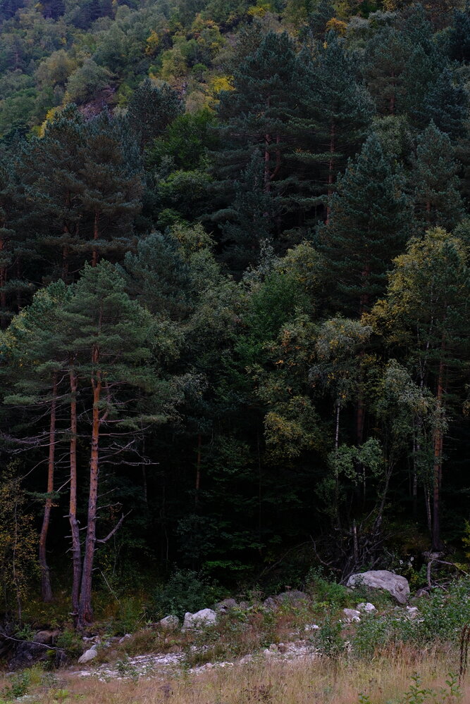 Photograph by Регина Нугманова