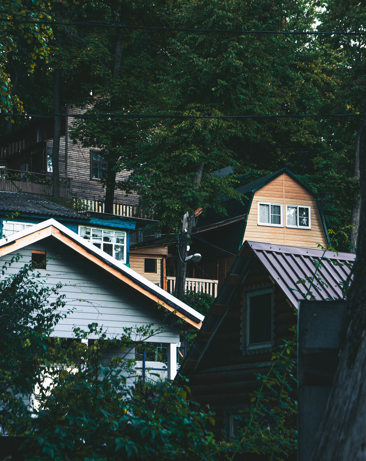 Photo #13900530